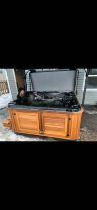 Arctic Spa - Water Hot tub for sale! Maintained by Arctic Spa!