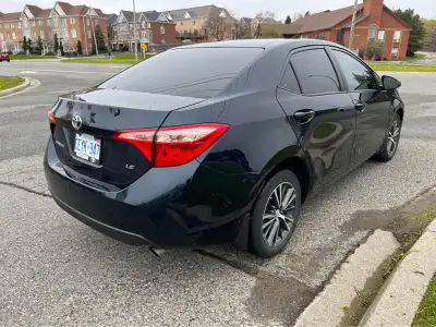 Excellent Condition | 2019 Corolla | Low Kms | No Accidents |