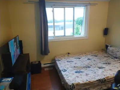 room for rent