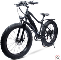  REDSKY FAT ELECTRIC BIKE