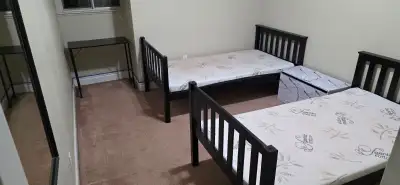 Room for Rent Brampton - Steeles and Main area $1000 for 2 people max. Available April 1st. If this...