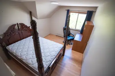 1 furnished bedroom (around 130 sqf) available now for rent in 2800sq.f, 4 beds, 2.5 bath house. Onl...