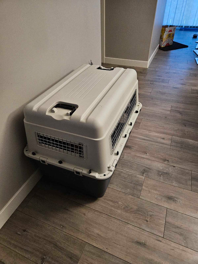 Dog Kennel in Other in Calgary
