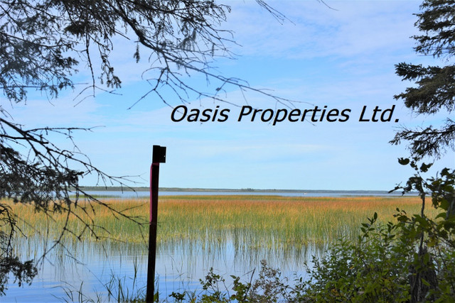 Turtle Lake Cabin Properties in Land for Sale in Saskatoon - Image 3