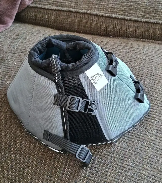 Surgery recovery soft cone for dogs in Accessories in St. Catharines - Image 2