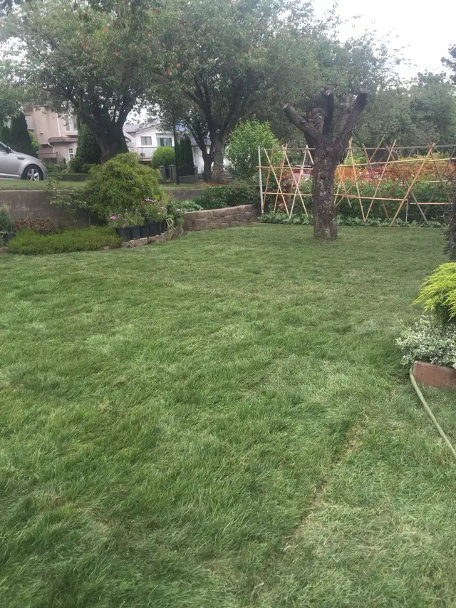 Landscaping Work62863221157890124