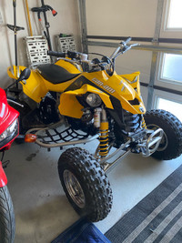 Can am DS 450