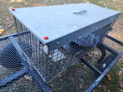 Live Animal Trap Door Movable Cage, View more