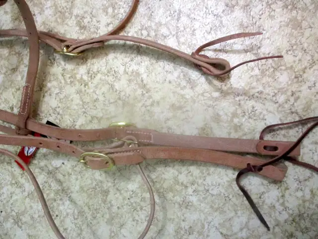 X-lrg horse headstalls - pack, draft or mules, Dawson Creek area in Equestrian & Livestock Accessories in Dawson Creek - Image 5