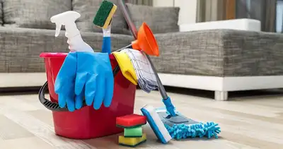 Professional Residential Cleaner, View more
