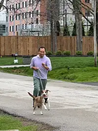 Dog walk/dog boarding 