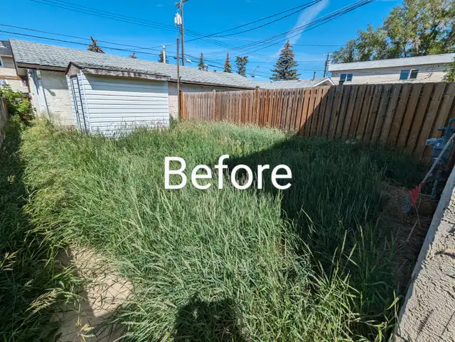 Need to have your lawn cut this season? Look no further!63235338139907122