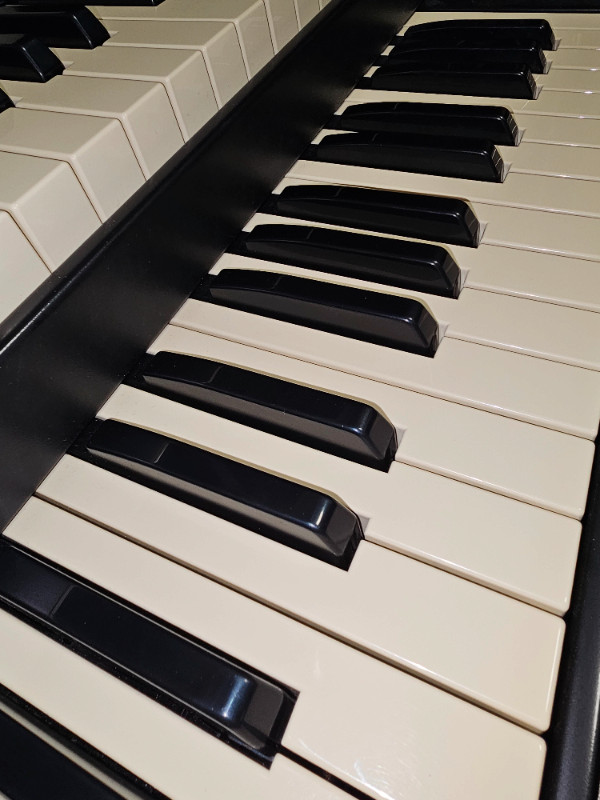 Mature Keyboard Player Available in Artists & Musicians in Kawartha Lakes