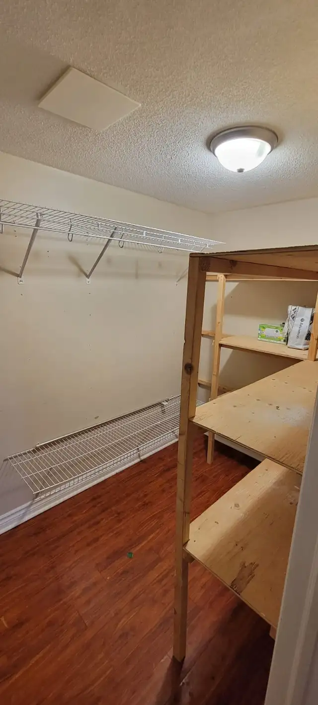 Studio Basement Apartment for Rent – Mississauga in Long Term Rentals in Mississauga / Peel Region - Image 2