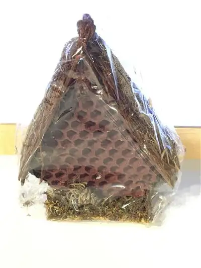 Miscellaneous craft supplies: Honeycomb house 6" - $3 Birds nest with eggs 4.5" - $3 Pack of two Bir...