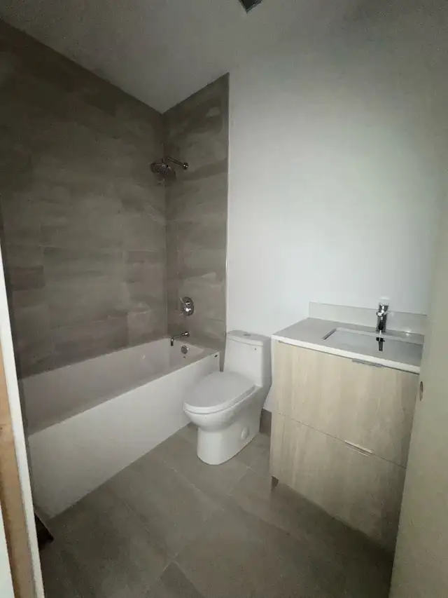 licensed plumber64656287883010120