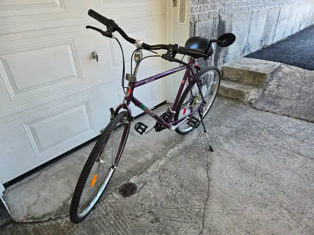 Velo Minelli454255949372477441