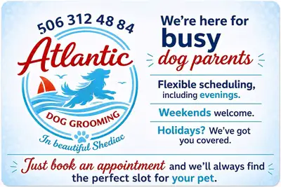Atlantic dog grooming in beautiful Shediac, View more