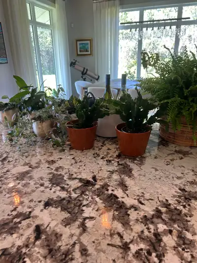 Move outs deep cleaning, View more