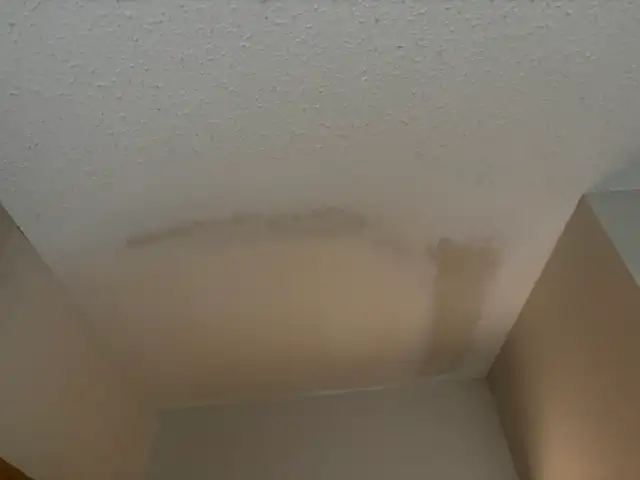 Professional Ceiling Texturing | Popcorn & Knockdown | Repairs572417991603005442