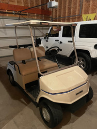 Gas Powered Golf Cart Hyundai with Reverse and accessories 