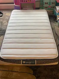 Single Foam mattress 