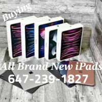 Get Instant Cash For Brand New Sealed iPad, iPad Pro & iPad Mini