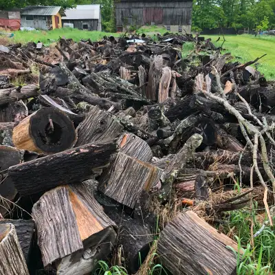 Free firewood, View more