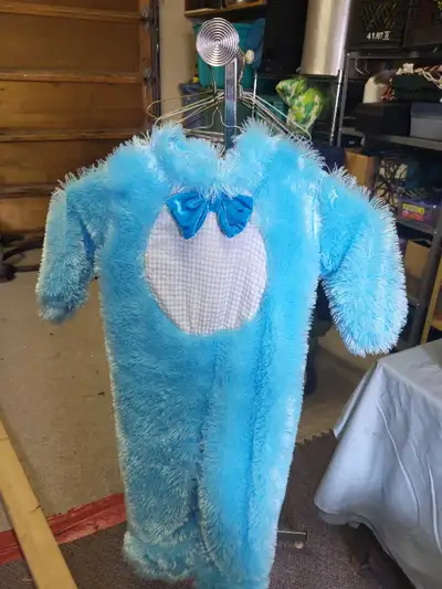 Bunny costume, View more