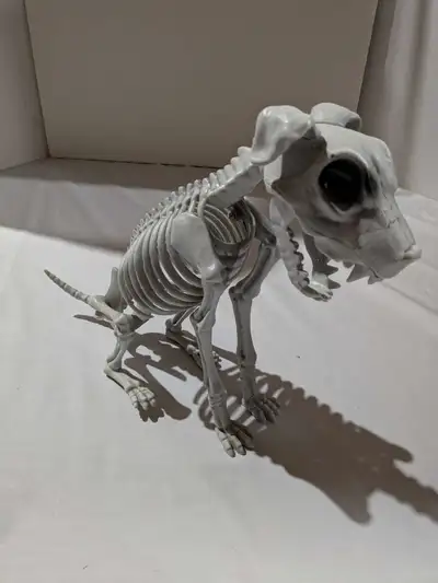 Halloween prop skeleton figure, View more