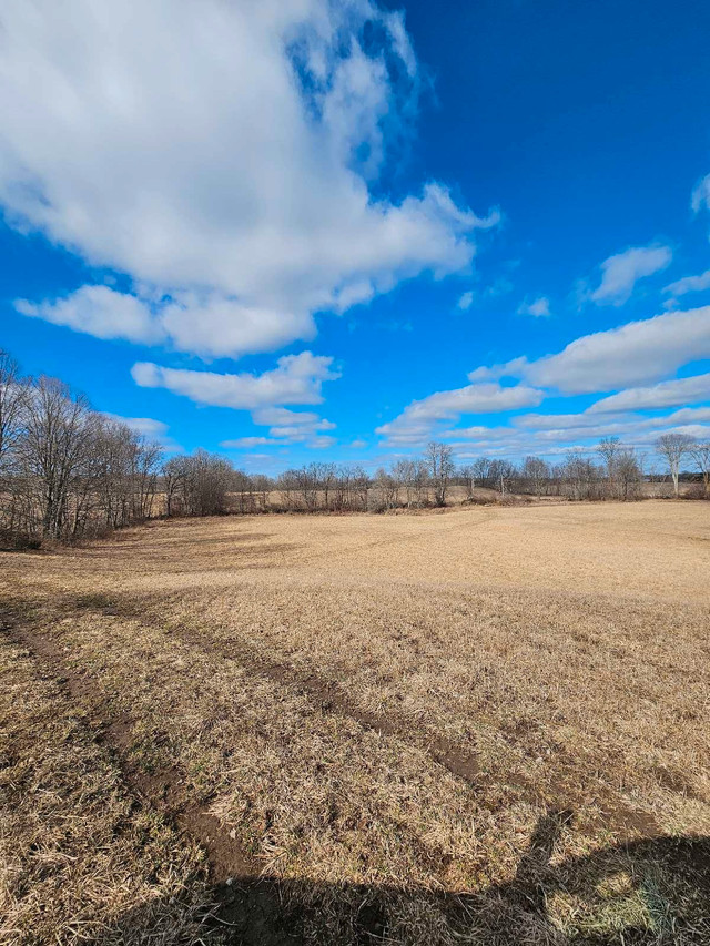 19.5 acres available in Land for Sale in Trenton - Image 4