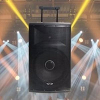 Acoustic Audio 87-4515 15" 1000w Rechargeable Powered Speaker w/