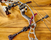 HOYT Vector 32 for sale