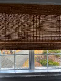 Roman Bamboo lined blind