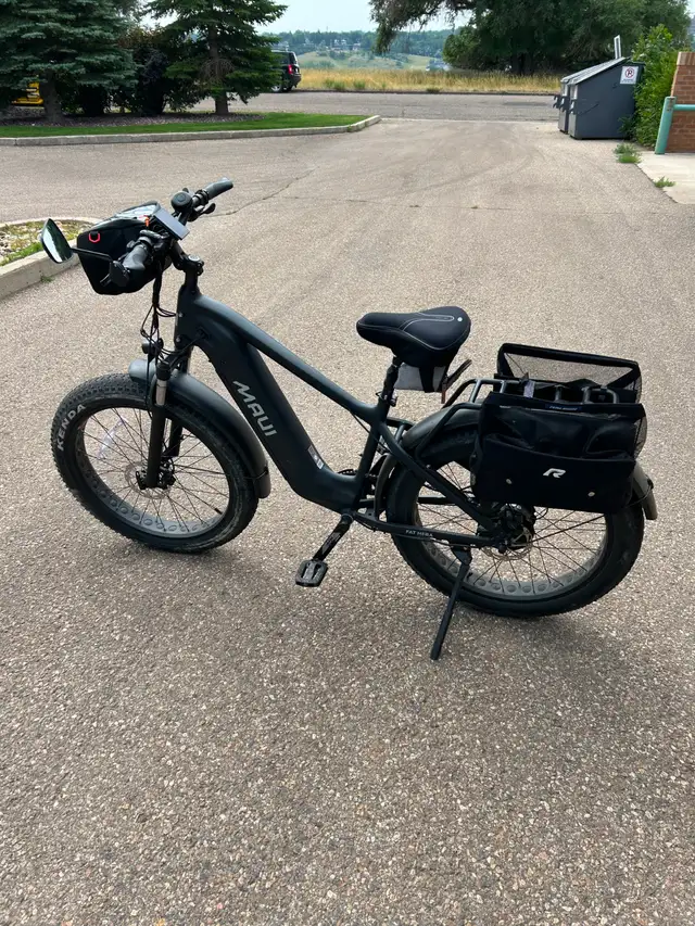 Electric Bike in eBike in Medicine Hat - Image 2