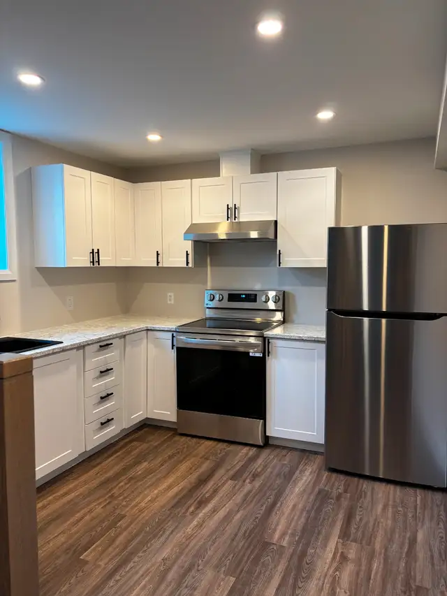 Newly Renovated 1-Bedroom Apartment for Rent (Central City East)63654769383425124