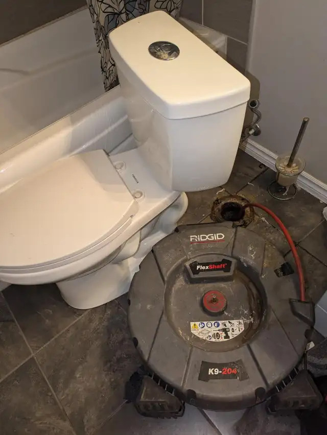 Service Plumber490426656632360964