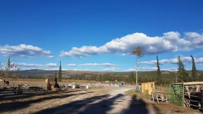 Job/caretaker for off-grid ranch, View more