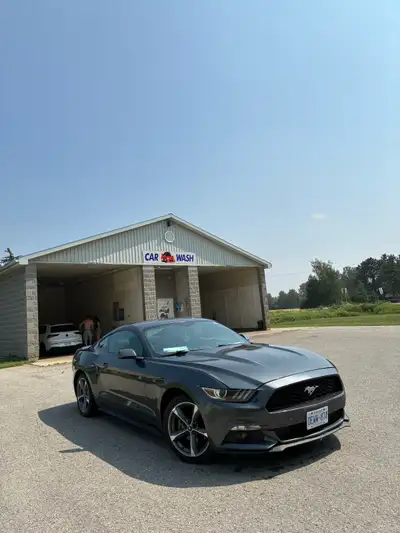 2017 ford mustang, v6 motor, manual, big touch screen display, 80,000 kms, no issues runs good, reas...