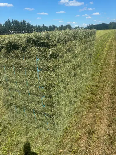 Hay small squares, View more