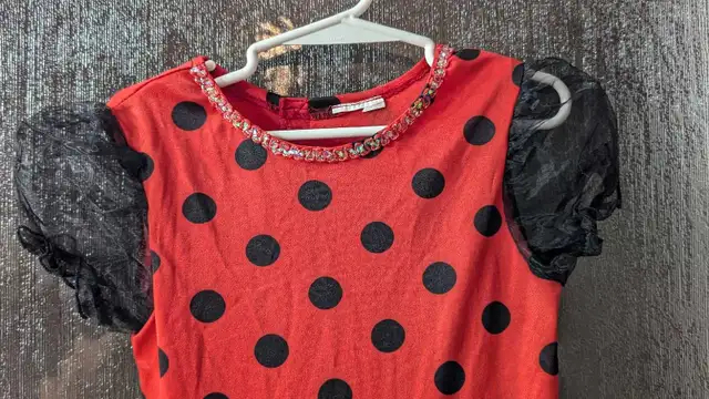 5$ Ladybug Costume for Girl 2/3 Years Old, Very Good Condition, Candiac62864361774339122