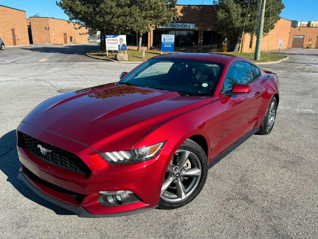2017 Ford Mustang *No Accident* in Cars & Trucks in Mississauga / Peel Region