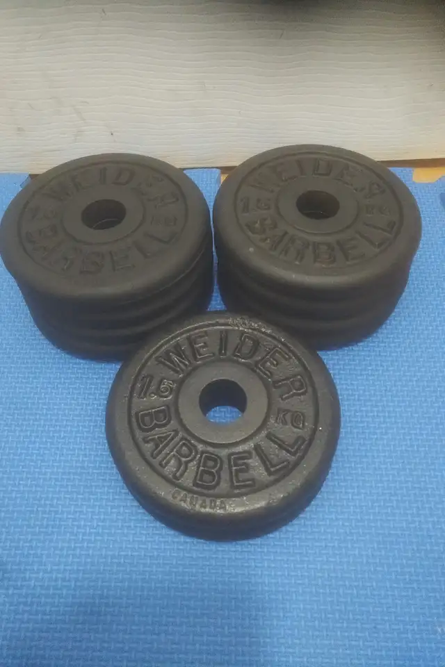 weight plates ($1.35/lbs) in Exercise Equipment in Delta/Surrey/Langley - Image 10