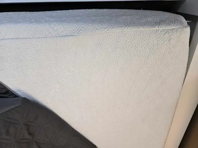 Tempurpedic adjustable bed 