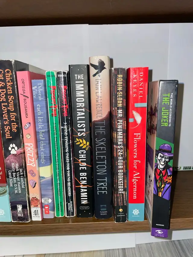 Book lot in Fiction in Ottawa - Image 4