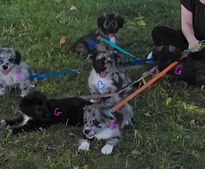 We are looking for our forever home  ♥️, View more