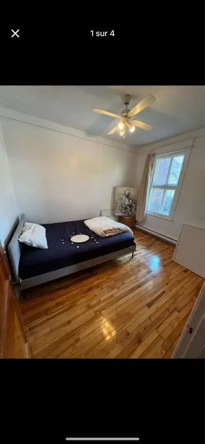 Svp bien lire la description Chambre collocation à sous louer meublé charges inclus pour le 1er févr...