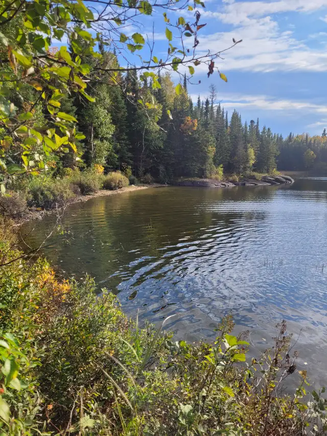 Lake front cottage for rent - Booster Lake, Nopiming Park in Manitoba in Canada - Image 6