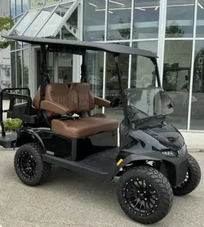 Golf Cart lithium and gas ezgo rxv, View more
