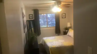 Blenheim- Fully Furnished Room Available Now
